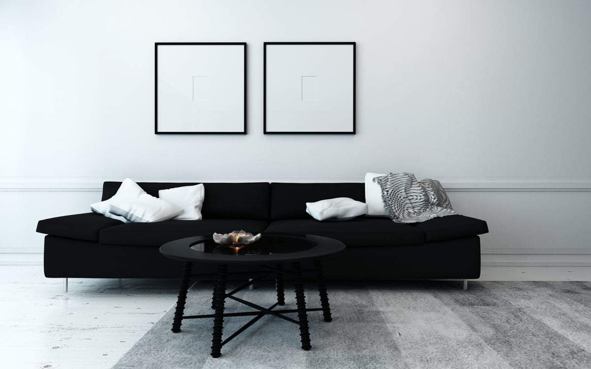 Black and White Contemporary Living Room